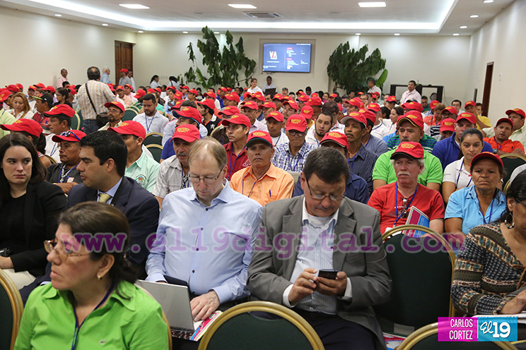 Nicaragua desarrolla Primer Congreso Internacional sobre Producci&oacute;n Sostenible de Cacao Fino